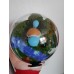 Diorama "Carapuce"