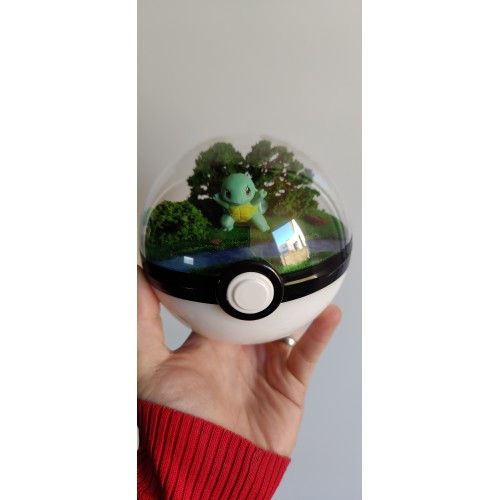 Diorama "Carapuce" Diorama "Carapuce"