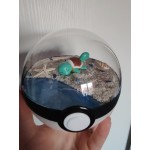 Diorama "Squirtle"
