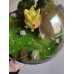 Diorama "Togepi"